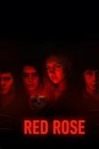  Красная роза 