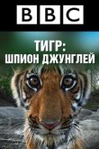  BBC: Тигр — Шпион джунглей 