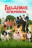  Академия четвероногих 