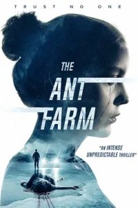  Муравьиная ферма 