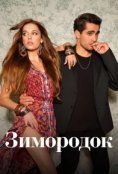 Зимородок